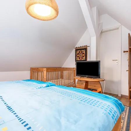 Haus Seeschwalbe 5 Appartement Zingst
