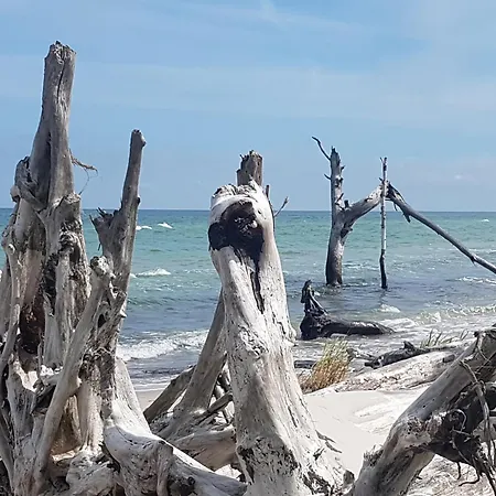 Haus Seeschwalbe 5 Appartement